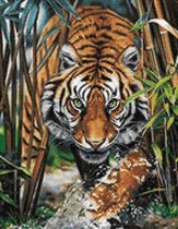 Diamand Painting tijger WD2482