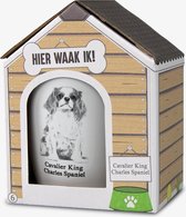 Mok - Hond - Cadeau - Cavalier King Charles Spaniel - Gevuld met een verpakte toffeemix - In cadeauverpakking met gekleurd lint