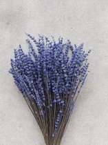 Droogbloemen - Lavendel - Paars - Gedroogde Bloemen - Lelly's Bloemen