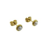 Aramat jewels ® - Parel zweerknopjes oorbellen wit goudkleurig chirurgisch staal 6mm