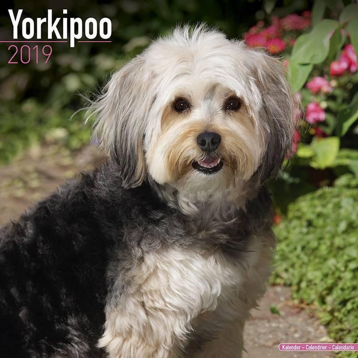 Yorkipoo Kalender 2019 - Avonside