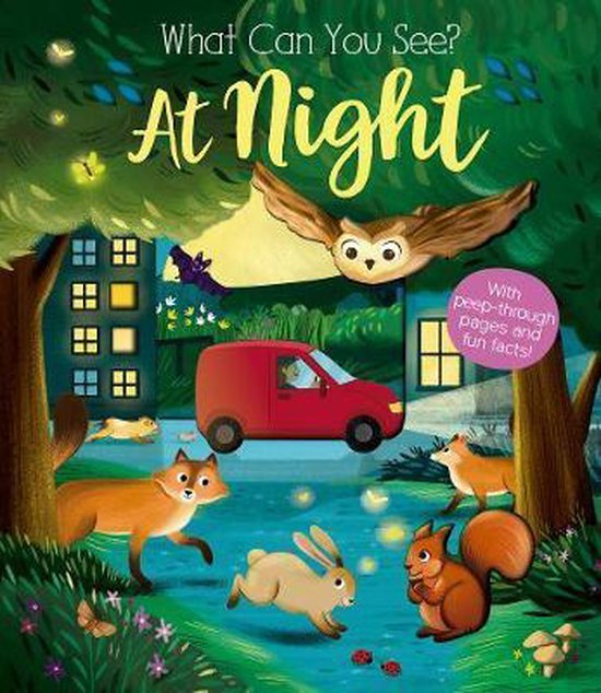 What Can You See At Night?, Kate Ware 9781912756414 Boeken
