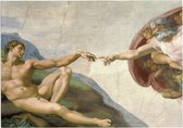 Schepping van Adam, Michelangelo Buonarroti - Foto op Forex - 120 x 90 cm