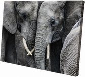 Olifant | 30  x 20 CM | Wanddecoratie | Dieren op canvas | Schilderij | Canvasdoek | Schilderij op canvas