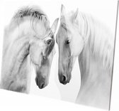 Witte paarden close up | 120 x 80 CM | Wanddecoratie | Dieren op plexiglas | Schilderij | Plexiglas | Schilderij op plexiglas