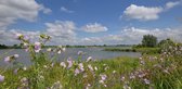 Fotobehang rivier de Lek bij Lexmond 450 x 260 cm - € 295,--