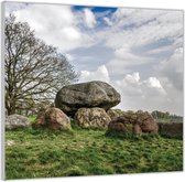 Acrylglas –Grote Stenen in Groene Wei– 50x50 (Met ophang)
