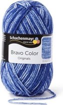 Schachenmayr Bravo Color 50 Gram - 2113