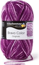 Schachenmayr Bravo Color 50 Gram - 2112