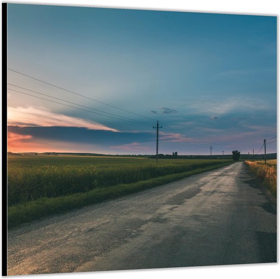Dibond -Weg door Weilanden met Zonsondergang- Foto op Aluminium (Wanddecoratie van metaal)