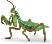 Bidsprinkhaan - Insect