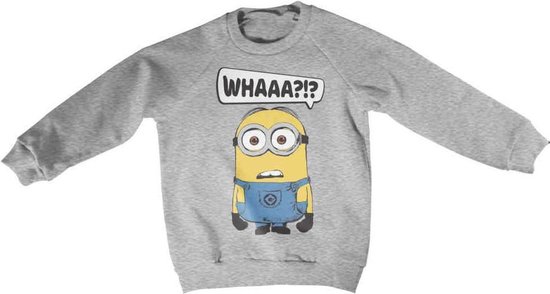 Minions Sweater/trui kids -Kids tm 12 jaar- Whaaa?!? Grijs