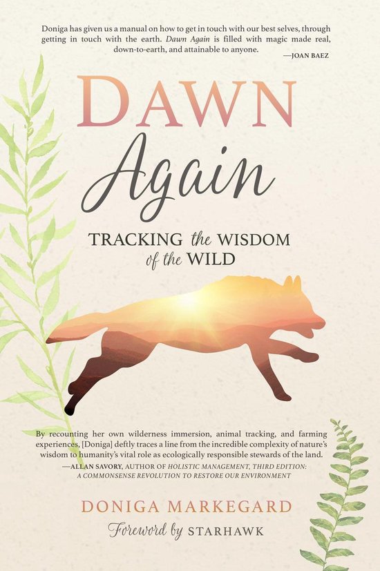 Dawn Again - cover