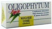 Holistica Oligophytum Manganeso Cobre