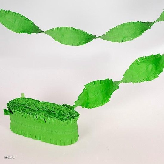 Poging moeder Woord Feest/verjaardag versiering slingers groen 24 meter crepe papier -  Feestartikelen | bol.com