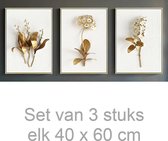 Allernieuwste 3-Delig Canvas Schilderij Gouden Bloemen Set - Natuur - Poster - Reproductie - Set 3x 40 x 60 cm - Kleur