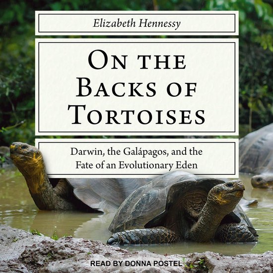 On the Backs of Tortoises - cover