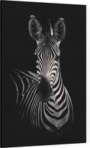 Zebra op zwarte achtergrond - Foto op Canvas - 60 x 90 cm