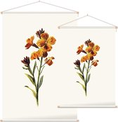 Muurbloempje (Wallflower White) - Foto op Textielposter - 60 x 90 cm