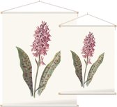 Orchis (Orchis) - Foto op Textielposter - 120 x 160 cm