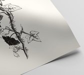 Klimop zwart-wit 2 (Ivy) - Foto op Posterpapier - 42 x 59.4 cm (A2)