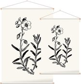 Zonneroosje zwart-wit (Rock Rose) - Foto op Textielposter - 40 x 60 cm