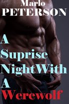 A Surprise Night with a Werewolf