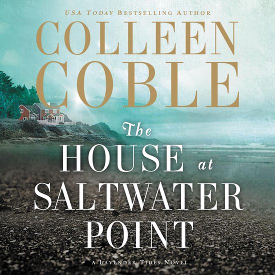 The House at Saltwater Point - cover