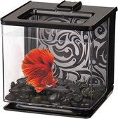 Marina aquarium - Betta kit - Zwart 2,5L - 17x17x17 cm