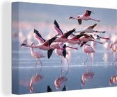 Canvas - Schilderij - Flamingo - Zee - Water - Vogel - Tropical - Schilderij op canvas - Woonkamer - 30x20 cm - Canvas doek - Wanddecoratie