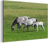 Wanddecoratie Metaal - Aluminium Schilderij Industrieel - Paarden - Dieren - Gras - 180x120 cm - Dibond - Foto op aluminium - Industriële muurdecoratie - Voor de woonkamer/slaapkamer