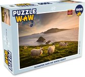 Puzzel Schapen aan de Ierse kust - Legpuzzel - Puzzel 1000 stukjes volwassenen
