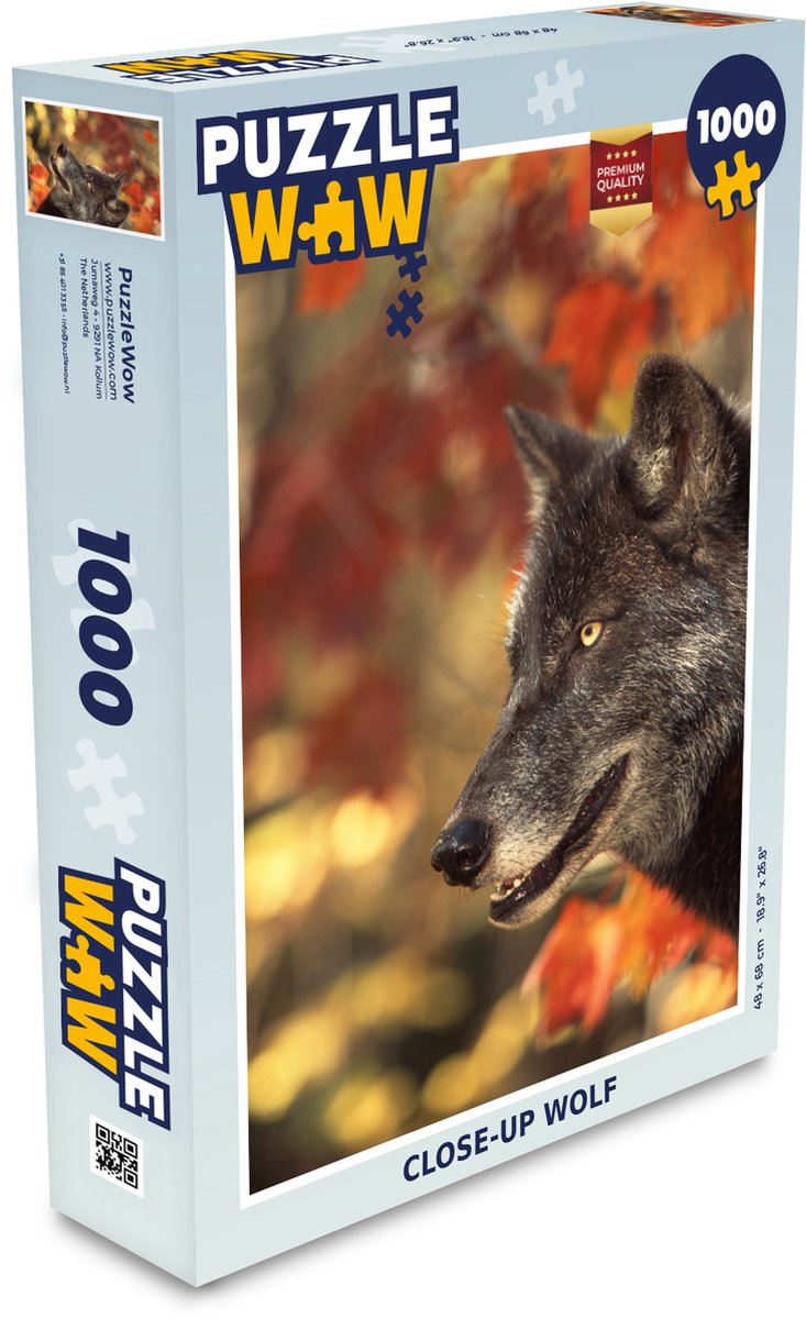 Puzzle photo - Loup 48 pièces - Direct Livres