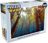 Puzzel Zonlicht en planten onder water - Legpuzzel - Puzzel 500 stukjes