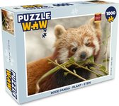 Puzzel Rode Panda - Plant - Eten - Legpuzzel - Puzzel 1000 stukjes volwassenen