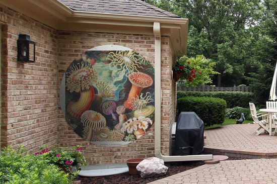 Garden Circle Ernst Haeckel - Anémone - Rétro - Nature - Plantes - Mer - 150x150 cm - Affiche Ronde de Jardin - Extérieur