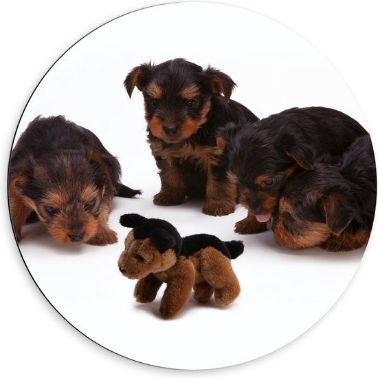 WallClassics - Dibond Muurcirkel - Puppy's met Knuffel - 60x60 cm Foto op Aluminium Muurcirkel (met ophangsysteem)