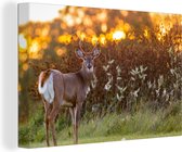 Canvas - Hert - Heide - Natuur - Zonsondergang - Schilderijen op canvas - Landschap - 90x60 cm - Canvas schilderij dieren - Foto op canvas