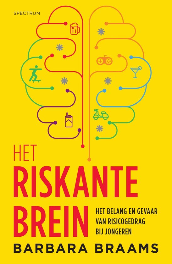 Het riskante brein - cover