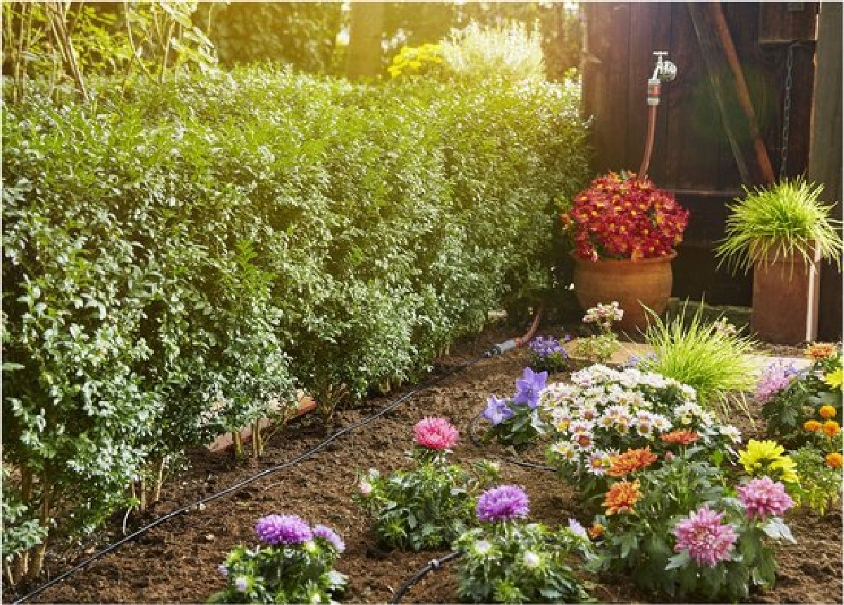 GARDENA startset L voor rijplanten: Micro-Drip-systeem verlenging 50 m voor startsets voor plantenrijen, Eenvoudige installatie, Waterbesparende besproeiing (13013-20 GARDENA startset L voor rijplanten: Micro-Drip-systeem verlenging 50 m voor startsets voor plantenrijen, Eenvoudige installatie, Waterbesparende besproeiing (13013-20