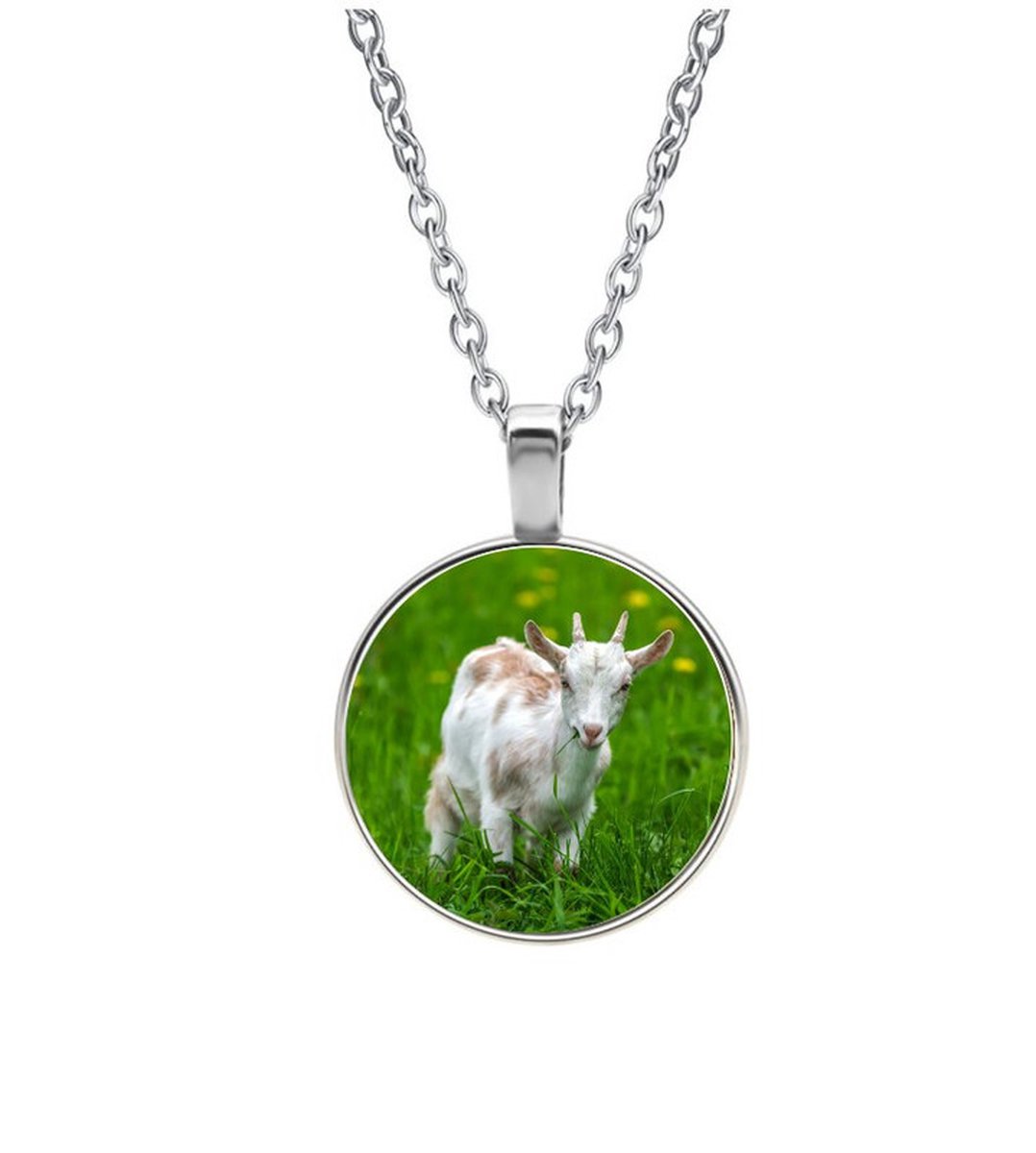 Ketting Glas - Geit