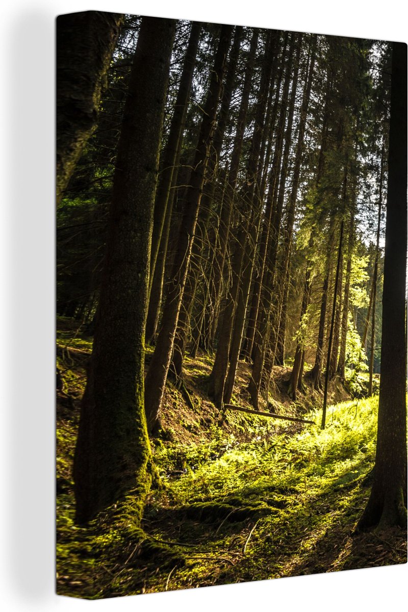 Tableau Toile Déco Forêt Violette - Format 150 Cm - Prêt à Accrocher - Marque Visario