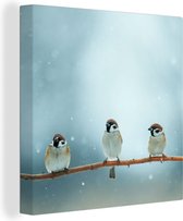 Canvas Schilderij Vogels - Mus - Sneeuw - Winter - 90x90 cm - Wanddecoratie