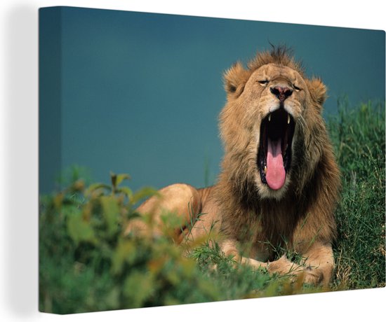 Canvas Schilderij Leeuw - Wild dier - Savanne - 120x80 cm - Wanddecoratie