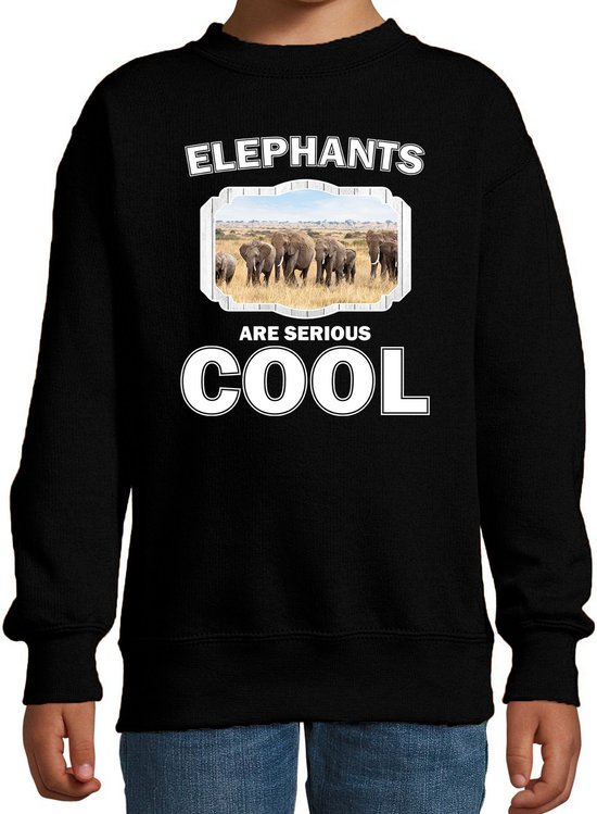 Dieren kudde olifanten sweater zwart kinderen - elephants are serious cool trui - cadeau olifant/ olifanten liefhebber - kinderkleding / kleding 134/146