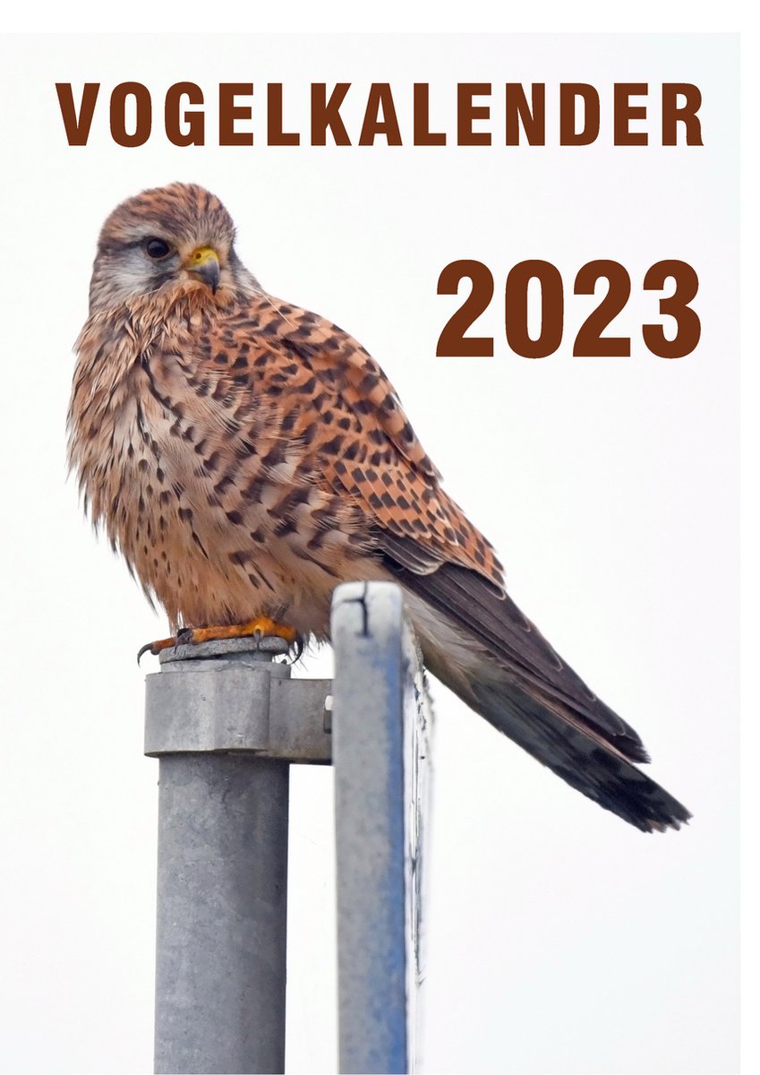 Kalender 2023 Wandkalender - Vogel Kalender - Maandkalender Vogels incl. 10 Wenskaarten - A4