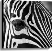 WallClassics - Toile - Front d'un Zebra - 60x60 cm Photo sur toile (Décoration murale sur toile)