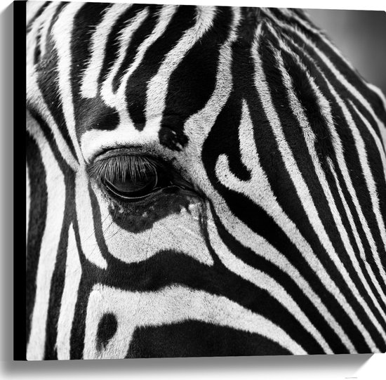 WallClassics - Canvas  - Voorhoofd van een Zebra - 60x60 cm Foto op Canvas Schilderij (Wanddecoratie op Canvas)