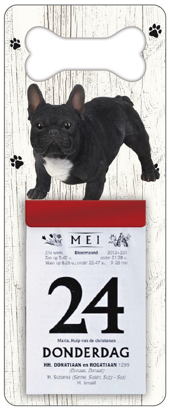 Scheurkalender 2026 Hond: Buldog zwart