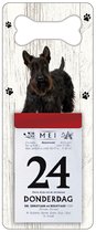Scheurkalender 2024 Hond: Schotse Terriër